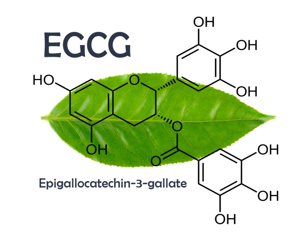EGCG